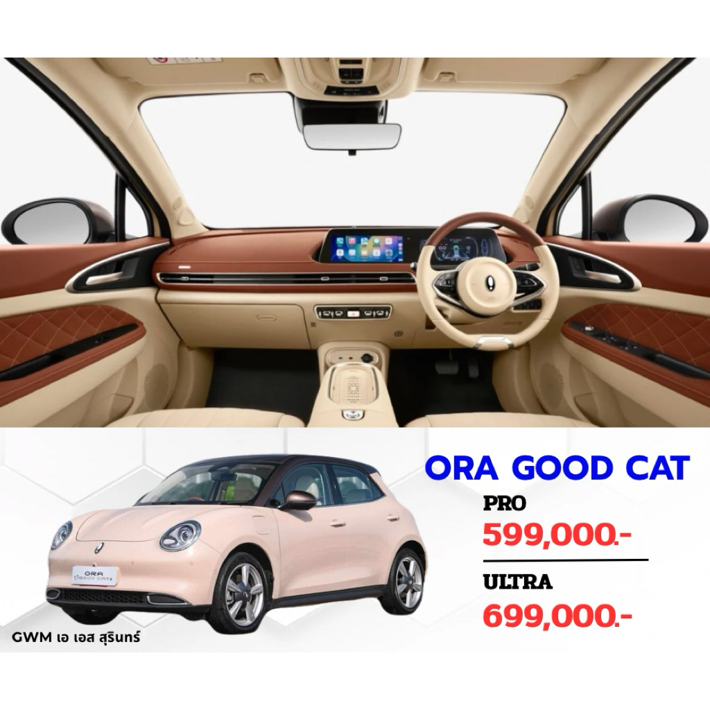 ORA GOOD CAT PRO/ULTRA