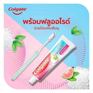 Colgate คอลเกต ยาสีฟัน สูตรเกลือ ใบฝรั่ง 100/150 ก. แพ็คคู่/เดี่ยว