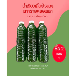 หัวเชื้อน้ำเขียวสาหร่ายคลอเรลา ( เข้มข้น ) ไข่ไรแดง T10 อาหารไรแดง หัวเชื้อน้ำเขียวสาหร่ายคอลเรล่า ชุดเพาะไรแดง