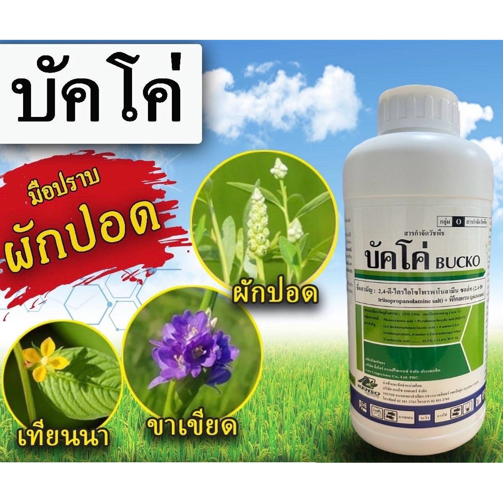 บัคโค่ ขนาด 1ลิตรใช้กำจัดผักปอด เทียนนา ขาเขียด เหมาะกับข้าวอายุ 15-40 วัน