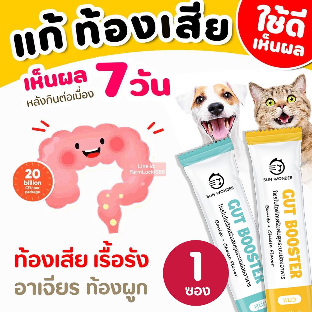 (1ซอง) Gut Booster โพรไบโอติก (เห็นผลใน7วัน) สุนัขและแมว ท้องเสีย ท้องผูก ลำไส้อักเสบ Sun Wonder