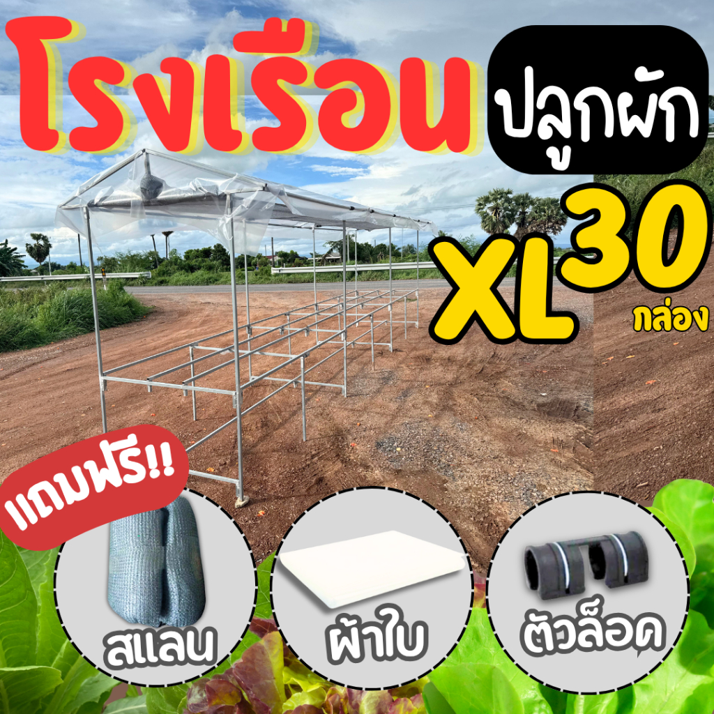 โรงปลูกผักสำเร็จรูปโรงเรือนแบบประกอบ (ขนาดใหญ่ XL) วางกล่องได้ 30 ใบ ประกอบง่าย (มีคลิปสอน)