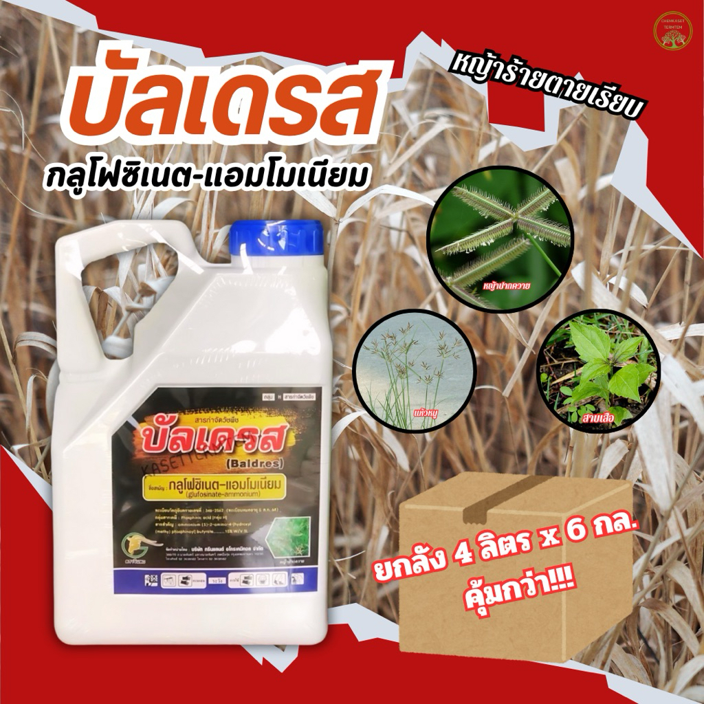 บัลเดรส 4ลิตร กลูโฟซิเนท 15% ❌ยกลัง 6แกลลอน❌แกลลอนขาว สูตรแรง ตายดี ตายทน ทนฝนขนาด4ลิตร