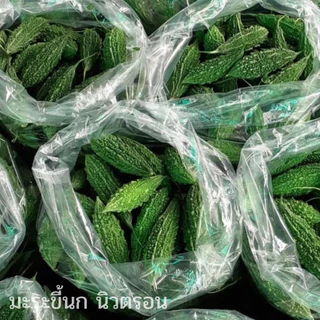 เมล็ดมะระขี้นก นิวตรอน F1 ตราตะวันต้นกล้า ขนาด20และ50กรัม เมล็ดพันธุ์มะระขี้นก เมล็ดพันธุ์ผัก