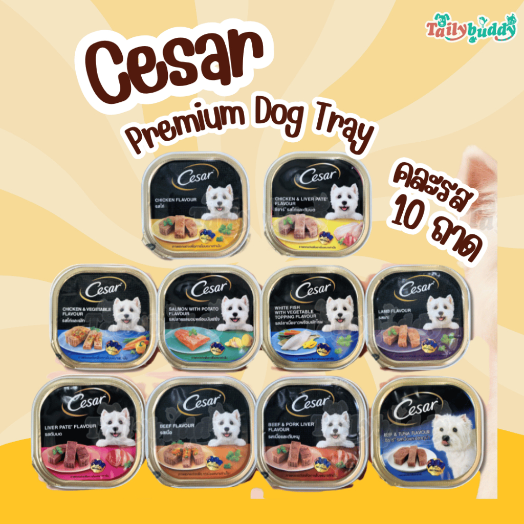Cesar อาหารเปียกสุนัข คละ 10 รส (รวม 10 ถาด)