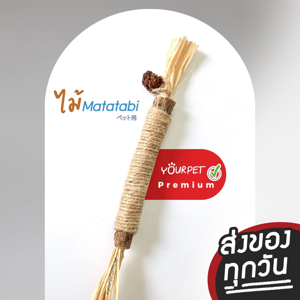 ของเล่น Matatabi [Size ใหญ่] ครบจบใน 1 แท่ง ไม้มาทาทาบิ มาทาบิ สำหรับแมว แคทนิปญี่ปุ่น ไม้ขัดฟัน