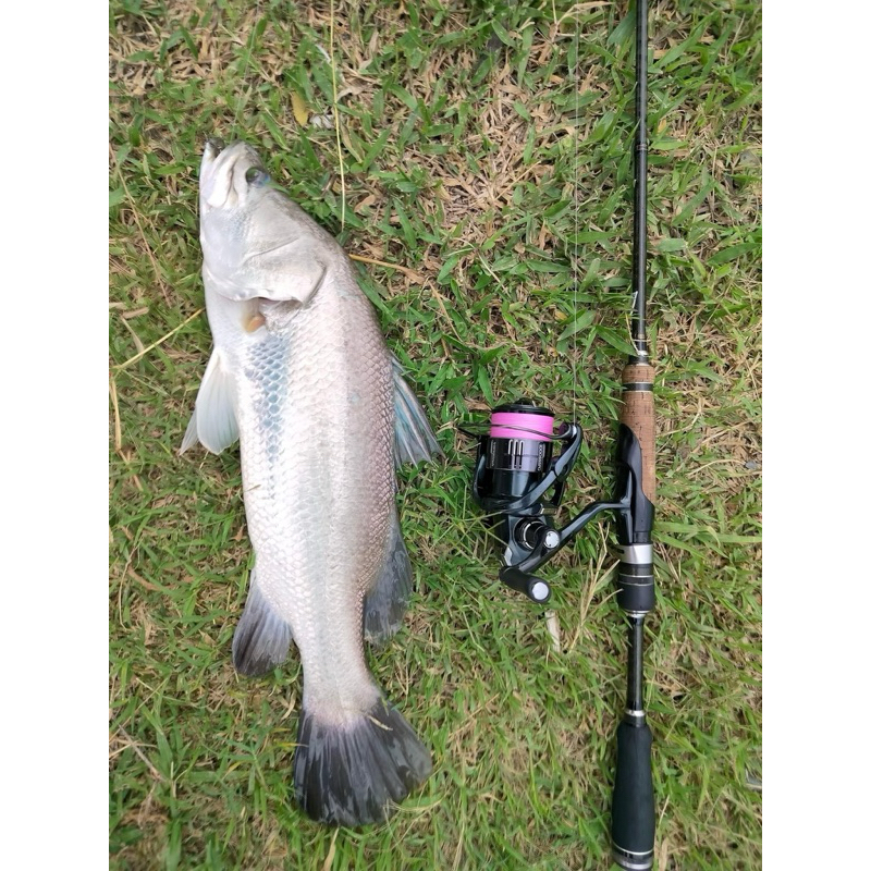 สาย PE Pro-Hunter Kaido Super Slim 200เมตร