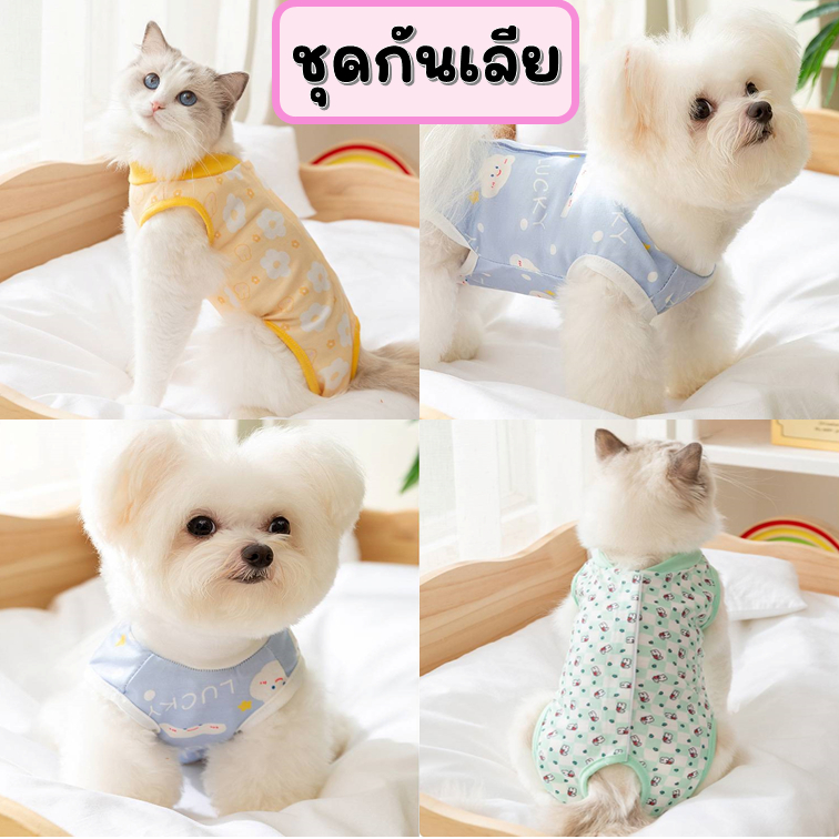 ชุดกันเลีย ป้องกันเลียแผลหลังผ่าตัด สำหรับแมว-สุนัข หรือ ชุดอย่านม