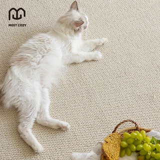 MEET COZY พรม กันน้ำ carpet living room สไตล์มินิมอล พรมปูพื้นห้อง #1 DI-A