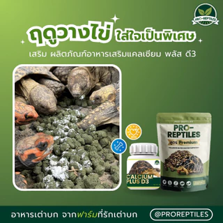 [ล็อตใหม่] Pro-Reptiles Premium อาหารเต่าบก พรีเมียม เต่าชูคาต้า ขนาด 1 kg