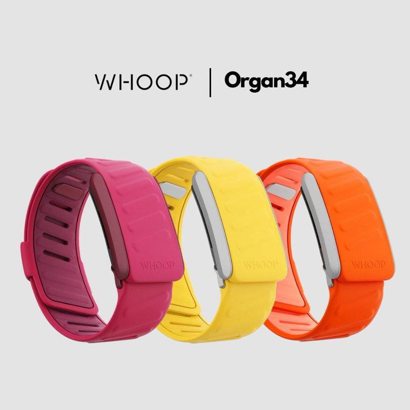 Whoop Sportflex Band สายรัดข้อมือ วัดสุขภาพอัจฉริยะ