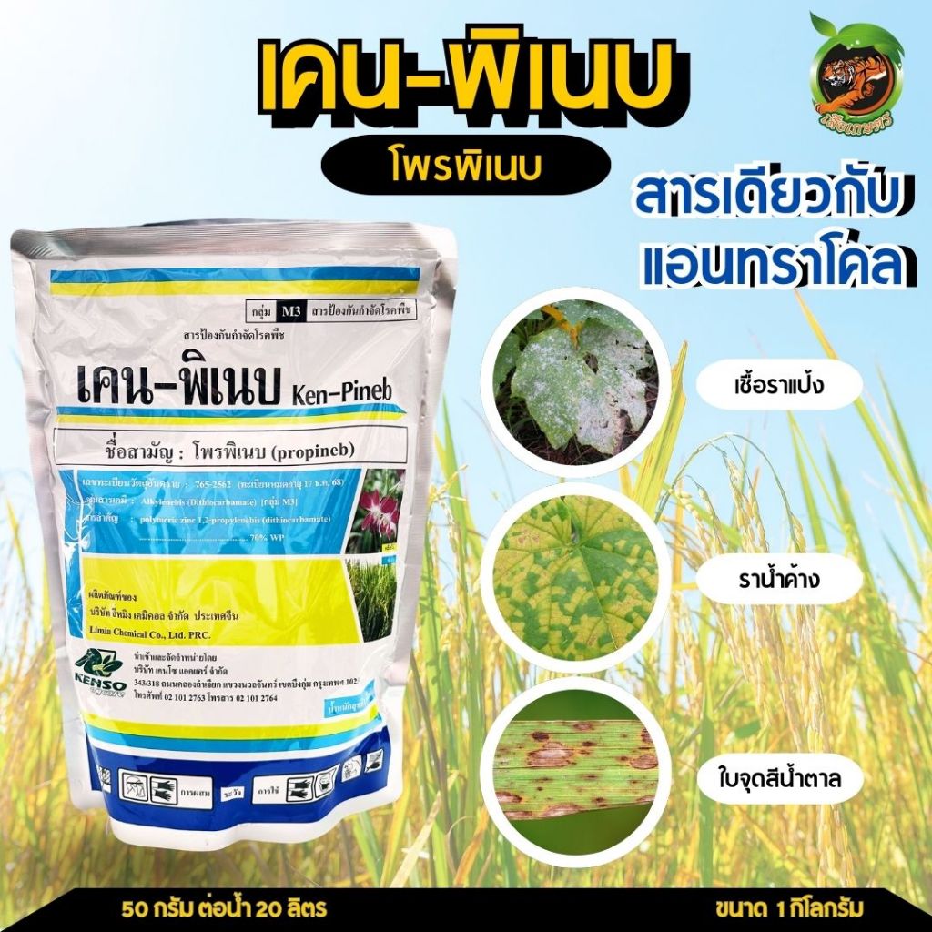 เคน-พิเนบ โพรพิเนบ 1กิโลกรัม สารเดียวกับ ‘แอนทราโคล‘ กำจัดเชื้อราใบจุด ราน้ำค้าง ราแป้ง