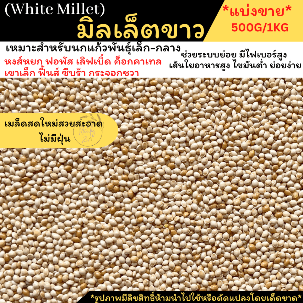 พร้อมส่ง!!มิลเล็ตขาว White Millet อาหารนก อาหารธัญพืชสำหรับนก *แบ่งขาย 500g./1kg.*