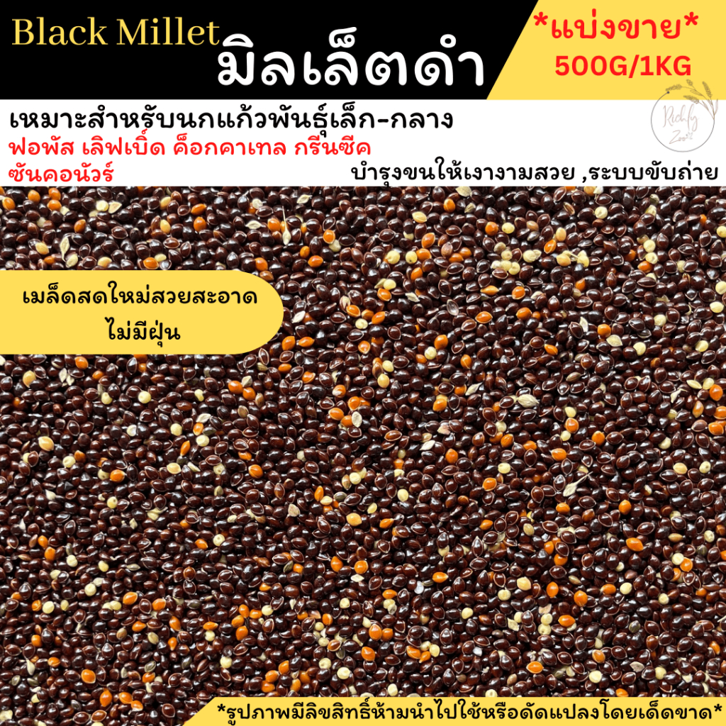 พร้อมส่ง!!มิลเล็ตดำBlack Millet ธัญพืชสำหรับนกที่มีคาร์โบไฮเดรตสูง แบ่งจำหน่าย 500 กรัมและ1กิโล