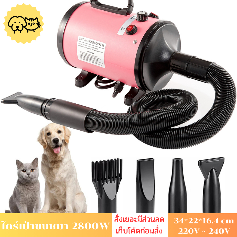 ไดร์เป่าขนหมา2800w ไดร์เป่าขนแมว ที่ไล่น้ำสัตว์เลี้ยง แถมหัวเป่า4แบบ ไดร์ไล่น้ำ COD