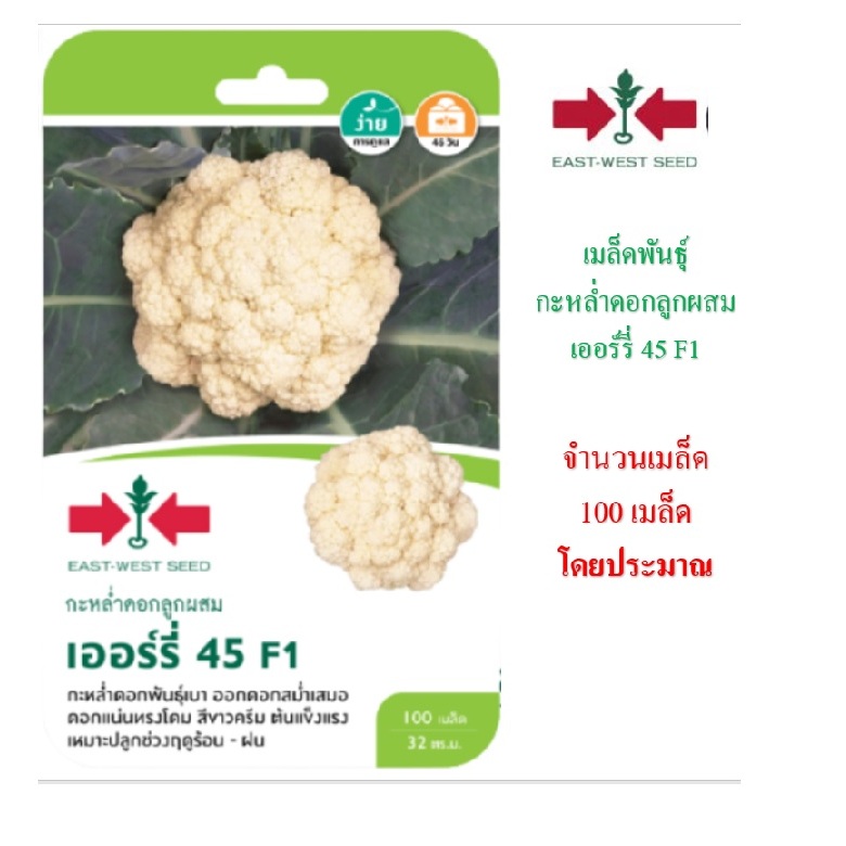 5 แถม 1 คละได้ เมล็ดพันธุ์ กะหล่ำดอกลูกผสม F1 เออร์รี่45 ตราศรแดง เมล็ดผัก เมล็ดพันธุ์ผัก เมล็ดพืช