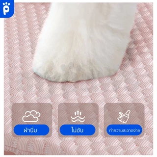 My Paws ที่นอนสัตว์เลี้ยง แบบผ้าเย็น มีหมอนหนุน สามารถถอดซักได้ ผ้าไม่ติดขน