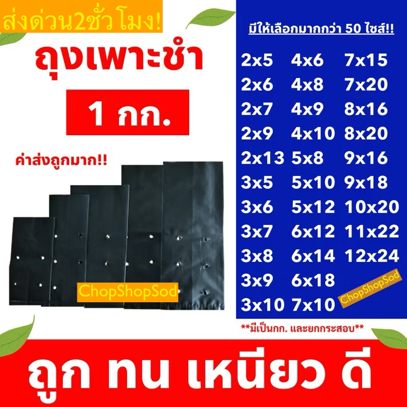 ส่งด่วน2ชั่วโมง ราคาส่ง ถุงเพาะชำ ถุงเพาะต้นกล้า ถุงเพาะต้นไม้ เจาะรู เนื้อเหนียว ทน ไม่ขาดง่าย