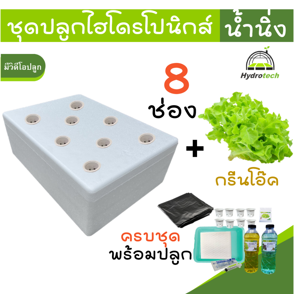 [ครบชุด]ชุดกล่องปลูกผัก ไฮโดรโปนิกส์ รุ่น8ช่อง เมล็ดกรีนโอ๊ค กล่องโฟม ปลูกผักไฮโดรโปนิกส์ hydroponic