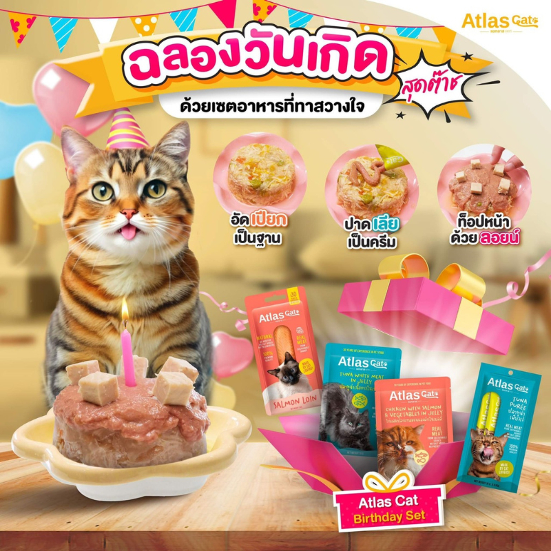 Atlas Cat Birthday Set ด้วยเซทอาหารสุดอร่อยฟิน พร้อมรับผ้าพันคอ Limited Edition ในชุด (สินค้ามีจำนวนจำกัด)