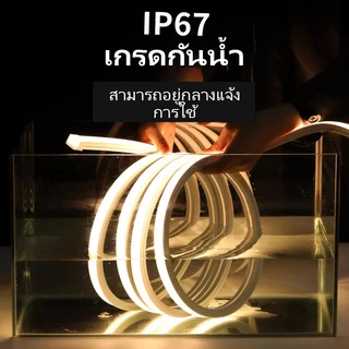 OIMIU ไฟแถบนีออน neon flex LED ดัดงอได้ 2/3/5/10/20/30ม สีสวยกันน้ำแรงดัน ต่อปลั๊กให้พร้อมใช้งาน