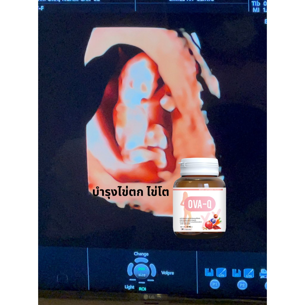 วิตามินบำรุงไข่ตก ไข่โต เตรียมตั้งครรภ์โอวาคิว ปรับฮอร์โมนให้ไข่ตก  เพิ่มคุณภาพของไข่ เตรียมICSI IUI