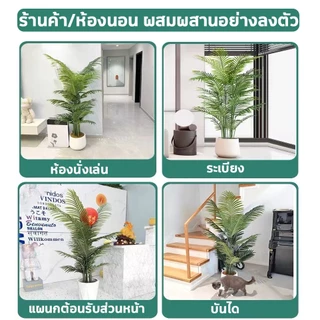 🌲ต้นไม้ปลอม🌲ราคาถูกที่สุด ฟรีกระถางดอกไม้ต้นไม้+หินตกแต่ง ต้นไม้มงคลปลอม ความจำลอง 99% 85cm/24ใบ มีคุณภาพ ต้นไม้ปลอม