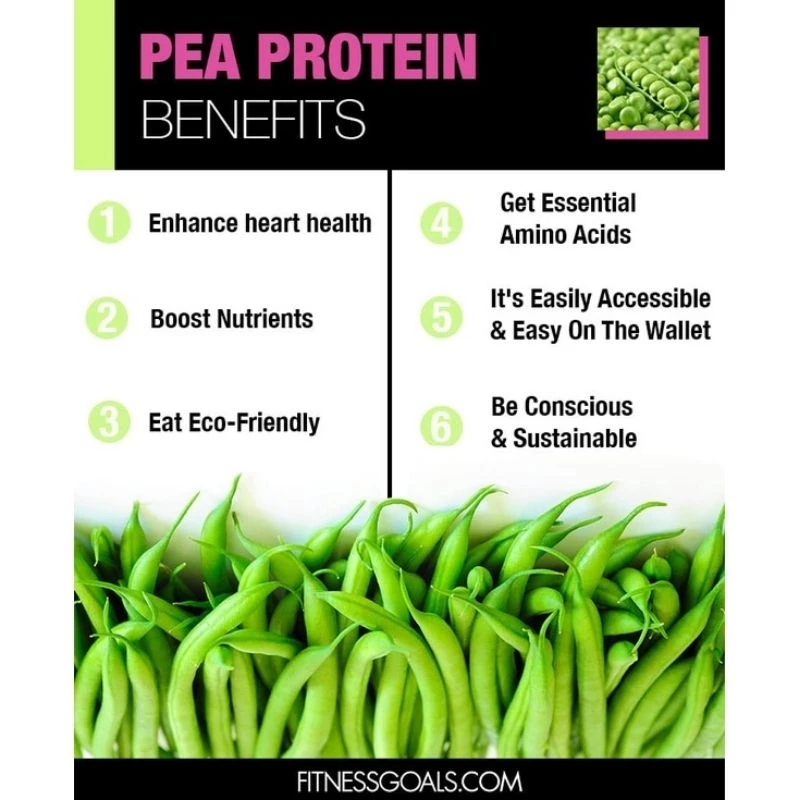 ผงโปรตีนถั่วลันเตาออร์แกนิค Organic Pea Protein Powder 300g thumbnail 5