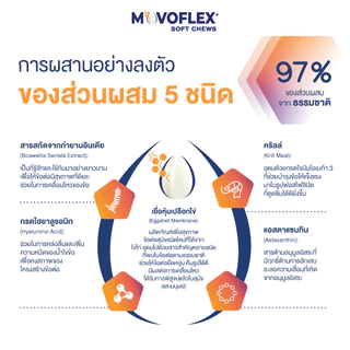 Virbac Movoflex L - ผลิตภัณฑ์ดูแลข้อต่อของสุนัข น้ำหนักมากกว่า 35 กก. ทุกวัย [โมโวเฟล็กซ์ - 30 เม็ด]