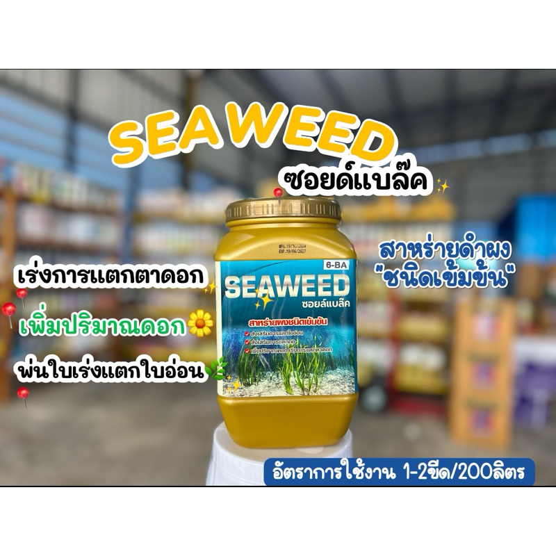 SEAWEED สาหร่ายดำเข้มข้น 6BA กระตุ้นการออกดอก และพ่นระยะหางแย้ขึ้นลูก ใช้สำหรับพืชเท่านั้น
