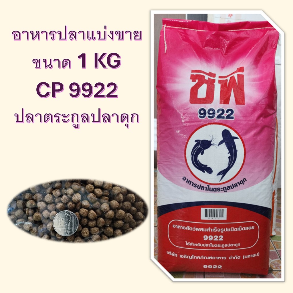 อาหารปลาตระกูลปลาดุก CP 9922 แบ่งขาย 1 กิโล