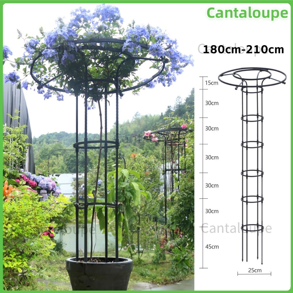 ซุ้มกุหลาบ ซุ้มกุหลาบเลื้อย โครงกุหลาบเลื้อย ซุ้มไม้เลื้อย เหล็กแข็งแรง ท่อเหล็กเคลือบ PE กันสนิม โครงเหล็กดัด
