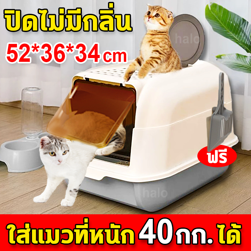 ห้องน้ำแมว ห้องน้ำแมวใหญ่ ทางเข้า2ทาง กระบะทรายแมว แยกกลิ่น ไม่มีทราย พร้อมที่ตักทราย กระบะทราย Cat toilet