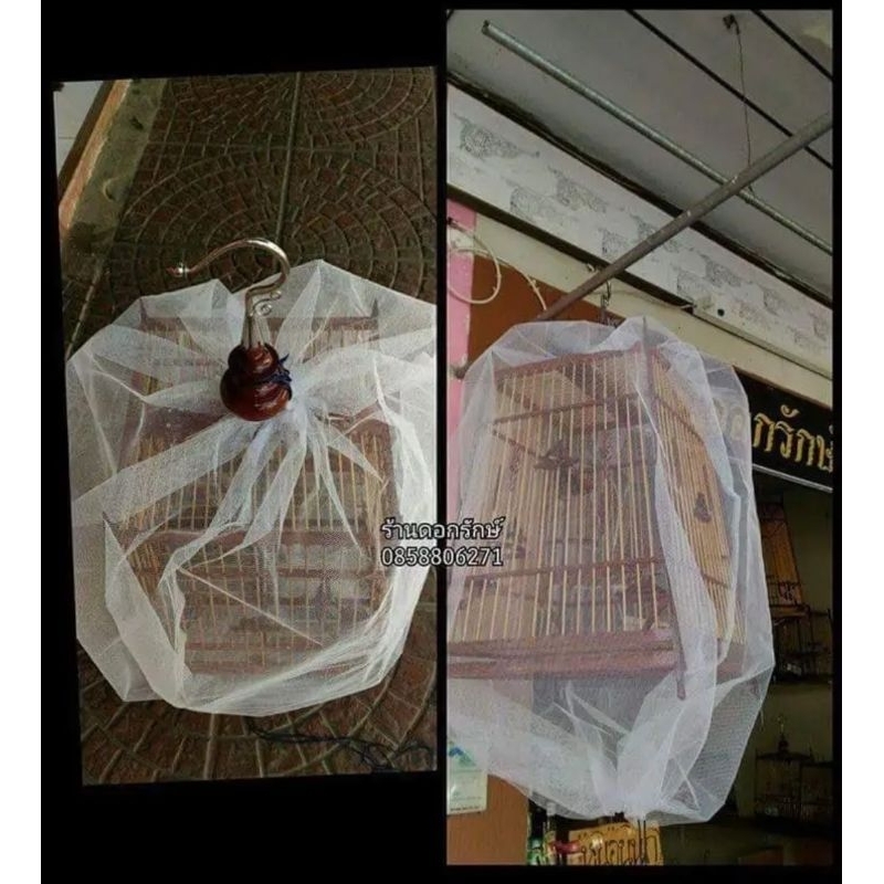 มุ้งรวบกันงู สำหรับกรงนกหัวจุก