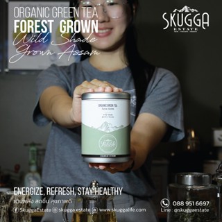 Organic Forest Grown Green Tea by Skugga | ชาเขียวออร์แกนิก