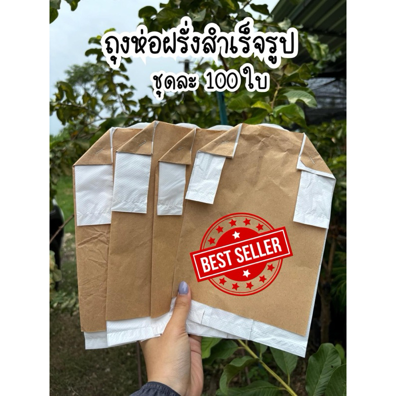 ถุงห่อฝรั่งสำเร็จรูป กันแดด กันฝน ถุงด้านในเจาะรูแล้ว ขนาด6x14” ชุดละ100ใบ