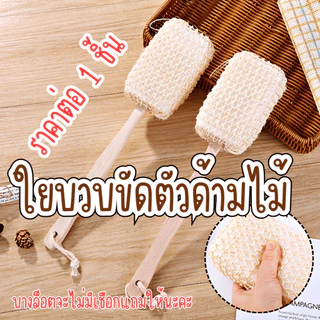 ใยบวบขัดผิวด้ามไม้ ธรรมชาติ 100% ใยบวบขัดหลัง ขัดตัว ใยบวบ ขัดหลัง แปรงอาบน้ำ ขัดขี้ไคล ใยบวบ ใยถูตัวอาบน้ำ อาบน้ำ WN