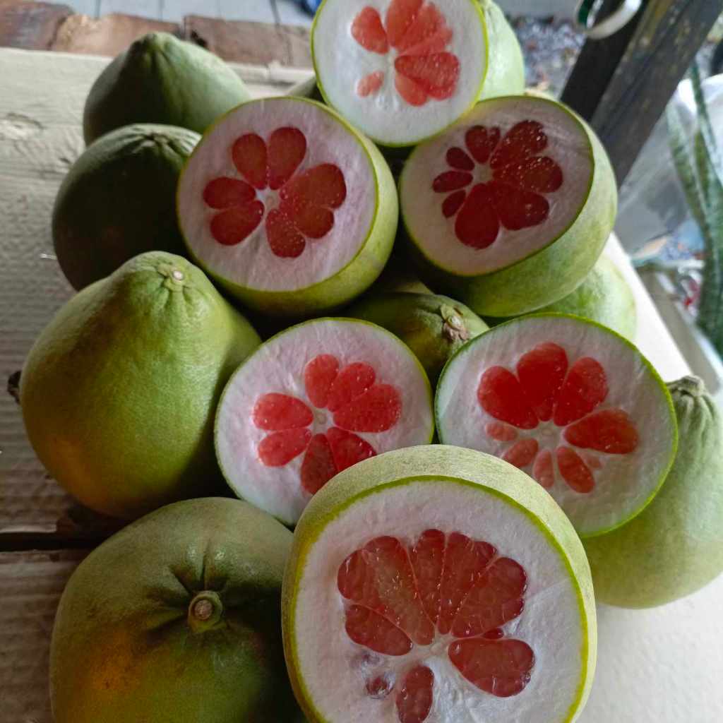 ิส้มโอทับทิมสยาม ปากพนัง 0.5-0.7 กิโลกรัม หวาน แดง อร่อย!