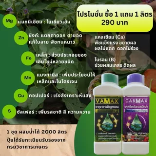 VAMAX ปุ๋ยธาตุอาหารรวม 7 ชนิด เสริมอะมิโน 1แถม1 V2