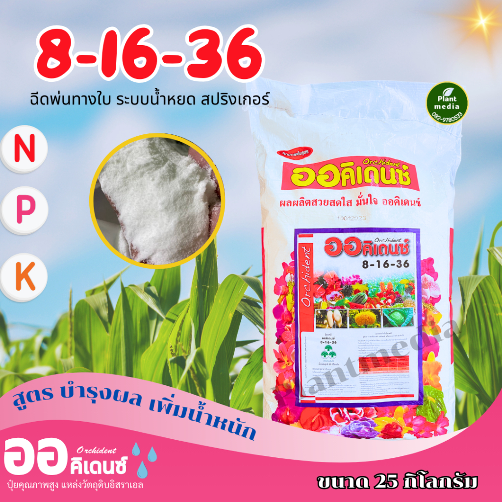 ปุ๋ย ออคิเดนซ์  ปุ๋ยเกล็ด 8-16-36  ขยายผล บรรจุ 25 กิโลกรัม