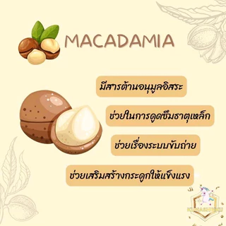 Nut Walker Macadamias Roasted Salted แมคคาเดเมียอบเกลือ/ไม่ใส่เกลือ 300g. ตรา นัทวอล์คเกอร์