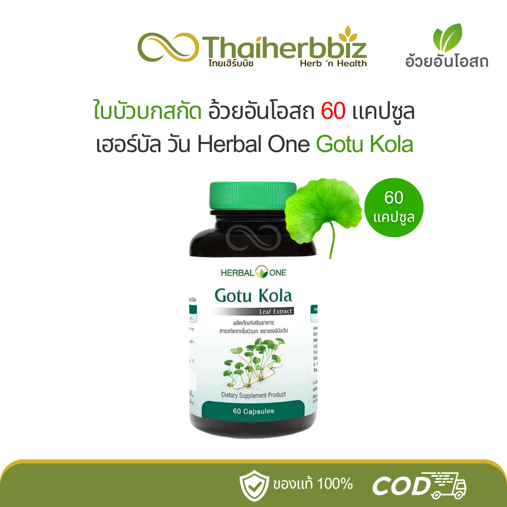ใบบัวบกสกัดอ้วยอันโอสถ เฮอร์บัลวัน Herbal One Gotu Kola 60 แคปซูล (1 ขวด)