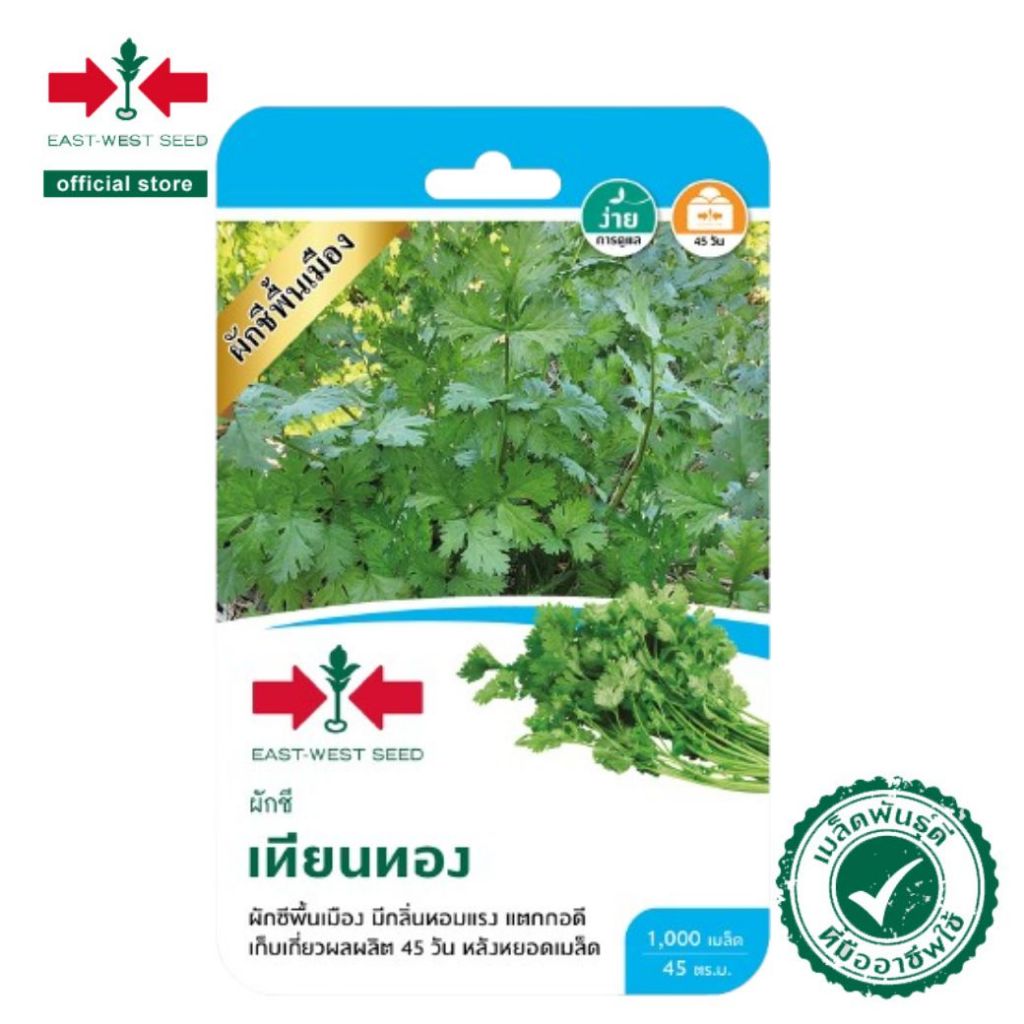 ศรแดง เมล็ดพันธุ์ผักชีพื้นเมือง เทียนทอง (East-West Seed) เมล็ดพันธุ์ ผักสวนครัว ตราศรแดง