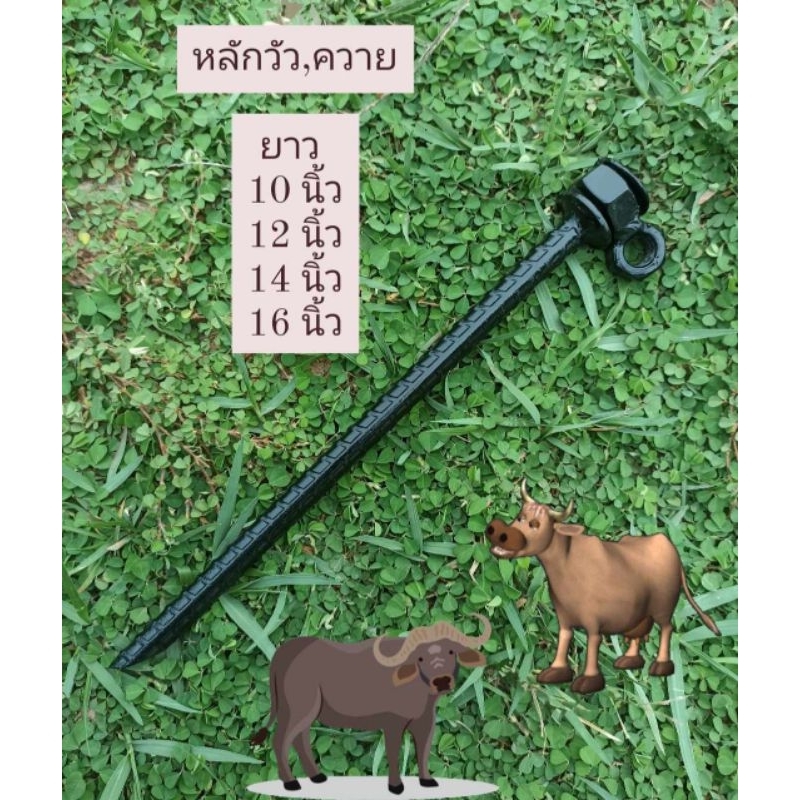 หลักวัว, ควาย หลักสัตว์เลี้ยงหมุนได้360 องศา