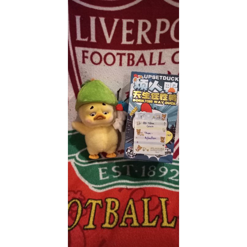 Upsetduck V.3 "Train your bug duck"