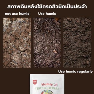 ฮิวมิคผง ผสม ไตรโคเดอร์มา 1kg คุณภาพสูง ฟื้นฟูดินเสีย แตกยอด แตกใบ ป้องกันเชื้อรา กระตุ้นราก ล้างสารเคมีในดิน