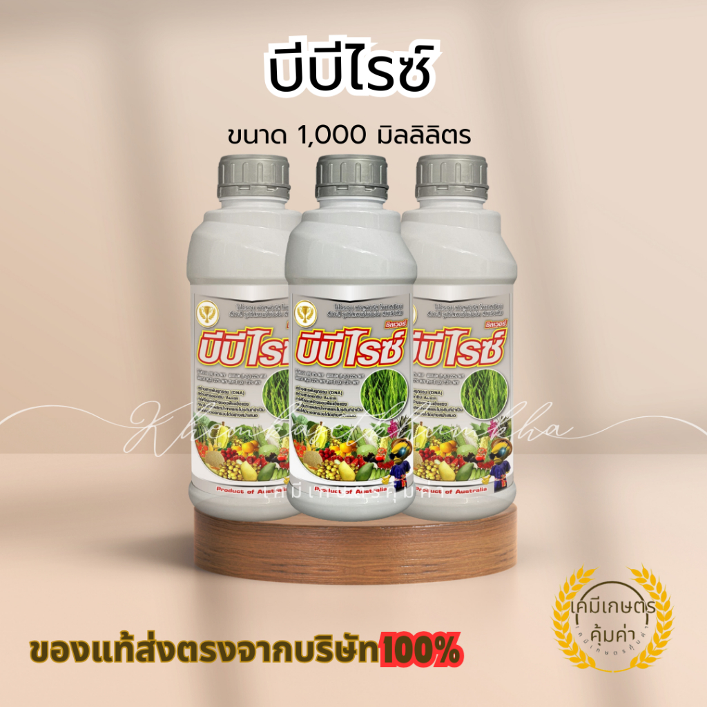 บีบีไรซ์ ซิลเวอร์ (รับท้อง ต้นพุ่ง กระทุ้งรวง) บ.บีบี เอ็กซิม สร้างออกซิน (Auxin) ซึ่งเป็นฮอร์โมนสำค