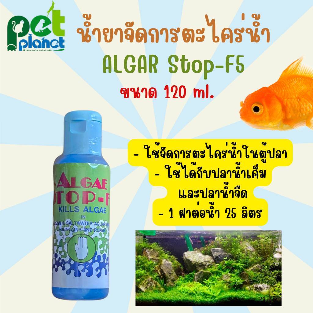 [ 120ml. ] น้ำยากำจัดตะไคร่น้ำในตู้ปลา Alga Stop - F5 น้ำยาตู้ปลา ใช้ทำความสะอาดตู้ปลา น้ำเขียว ใช้ ปลาน้ำจืด และน้ำเต็ม