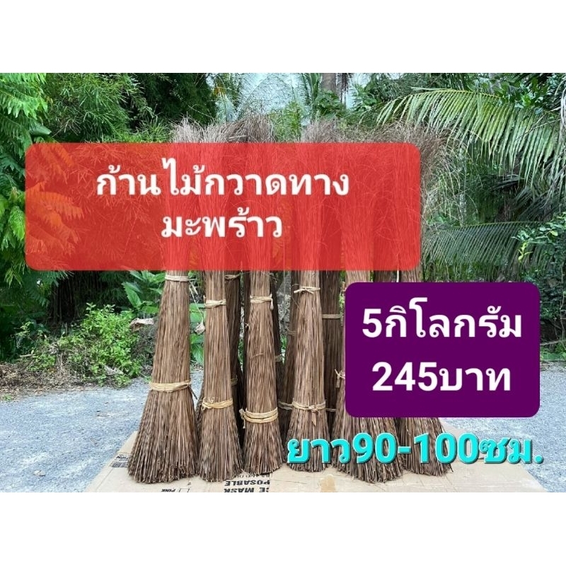 《พร้อมส่ง5กก.》ก้านไม้กวาดทางมะพร้าว ก้านไม้กวาด ก้านมะพร้าว สูง90-100ซม.ขึ้นไป