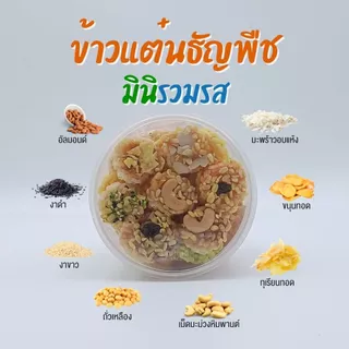 ข้าวแต๋นธัญพืช ข้าวแต๋นธัญพืชมินิรวมรส ข้าวแต๋นน้ำแตงโม ขนมนางเล็ด อร่อย เต็มคำ